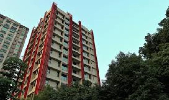 麥田建設-風和樹